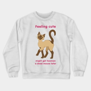 Feeling Cute Crewneck Sweatshirt